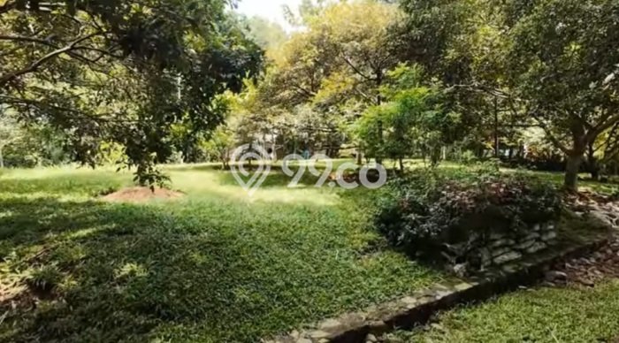 Lahan Investasi Lokasi Cijeruk Bogor SHM Lahan Investasi Lokasi Cijeruk Bogor SHM