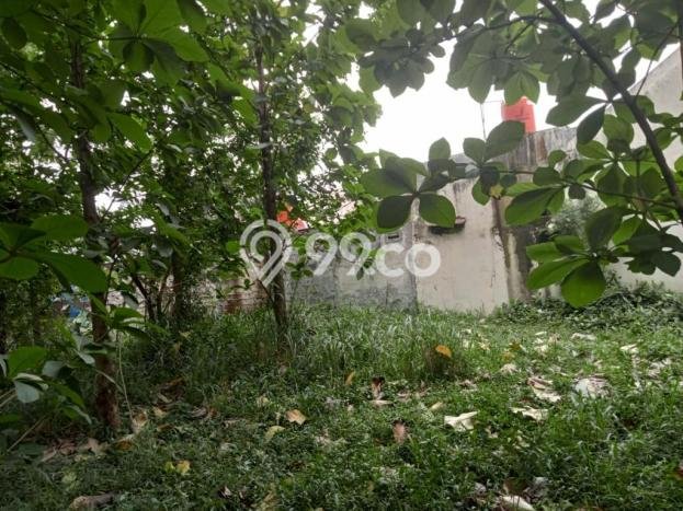Lahan Investasi Lokasi Cibinong Bogor SHM Lahan Investasi Lokasi Cibinong Bogor SHM