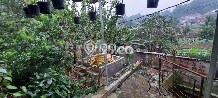 Rumah Modern Minimalis 2 KT Siap Huni di Ciomas Rumah Modern Minimalis 2 KT Siap Huni di Ciomas