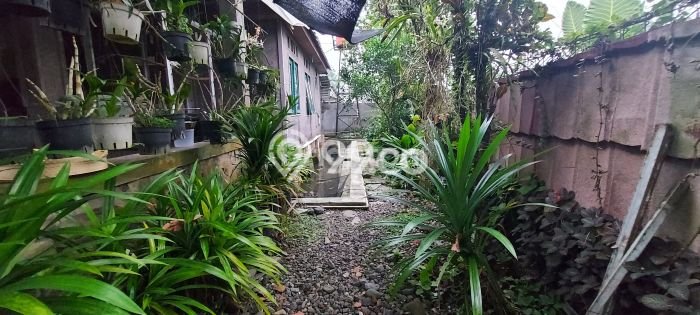 Rumah Modern Minimalis 2 KT Siap Huni di Ciomas Rumah Modern Minimalis 2 KT Siap Huni di Ciomas
