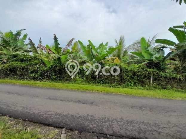 Tanah Kosong Disewakan di Tabanan, Tabanan, Luas 1360m2 Tanah Kosong Disewakan di Tabanan, Tabanan, Luas 1360m2