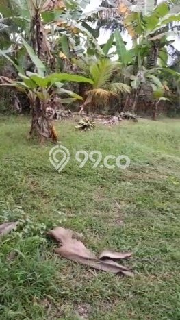 Tanah Kosong Disewakan di Tabanan, Tabanan, Luas 1360m2 Tanah Kosong Disewakan di Tabanan, Tabanan, Luas 1360m2