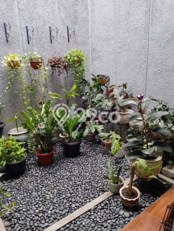 Rumah Elit Modern Tanpa Renovasi di Bintaro Tangerang Selatan Rumah Elit Modern Tanpa Renovasi di Bintaro Tangerang Selatan