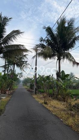 Tanah Dijual di Yogyakarta Seluas 595m2 Strategis Tanah Dijual di Yogyakarta Seluas 595m2 Strategis