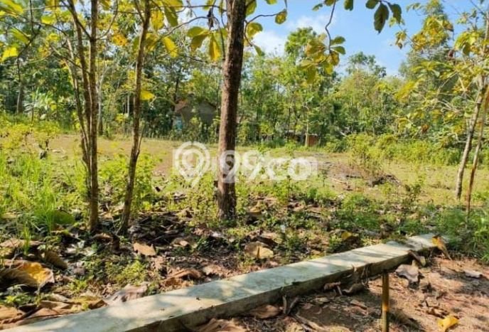 Lahan Investasi Lokasi Ngawen Gunung Kidul SHM Lahan Investasi Lokasi Ngawen Gunung Kidul SHM
