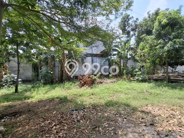 Lahan Investasi Lokasi Banguntapan Bantul SHM Lahan Investasi Lokasi Banguntapan Bantul SHM