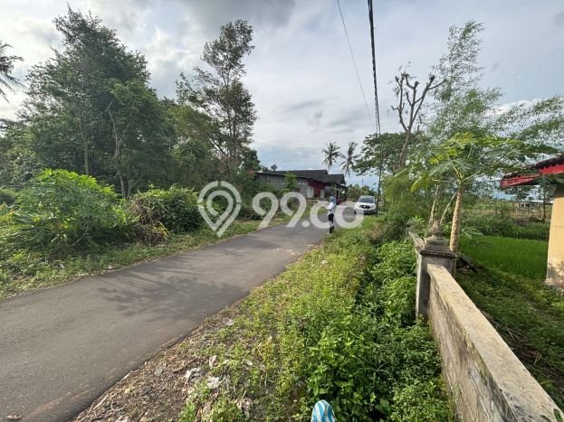Tanah Kosong Dijual di Sleman dengan Area 121m2 Tanah Kosong Dijual di Sleman dengan Area 121m2