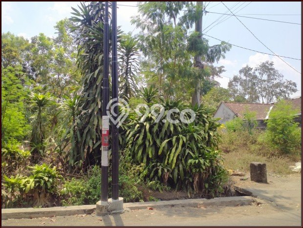 Free Bunga, Tanah Jogja 2jtan, Dekat Exit Tol Kalasan, Sleman Free Bunga, Tanah Jogja 2jtan, Dekat Exit Tol Kalasan, Sleman