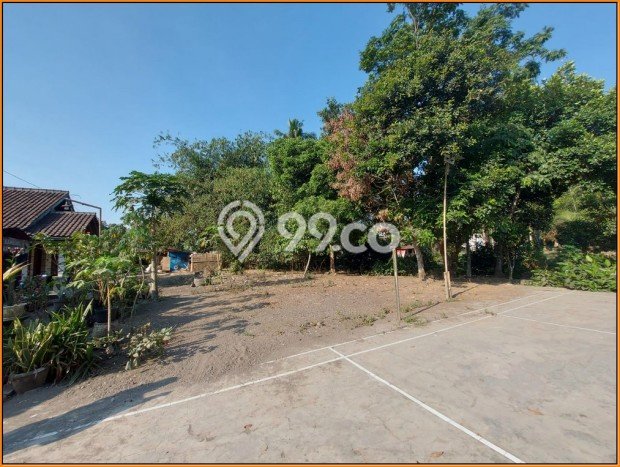 Nego, 2jtan, Tanah Jogja, Utara Masjid Suciati Sleman Nego, 2jtan, Tanah Jogja, Utara Masjid Suciati Sleman