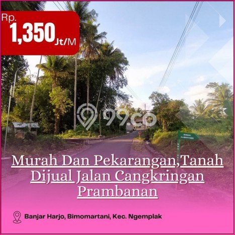 100jtan, Free Bunga, Tanah Jogja, Jl. Kaliurang, Sleman 100jtan, Free Bunga, Tanah Jogja, Jl. Kaliurang, Sleman