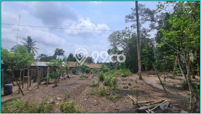 Dp Ringan, Tanah Jogja, Dekat Kopi Klothok Jl.kaliurang, Sleman Dp Ringan, Tanah Jogja, Dekat Kopi Klothok Jl.kaliurang, Sleman