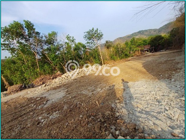 Free Bunga Cicilan, Tanah Jogja, Jl Pleret, Jjls, Bantul Free Bunga Cicilan, Tanah Jogja, Jl Pleret, Jjls, Bantul