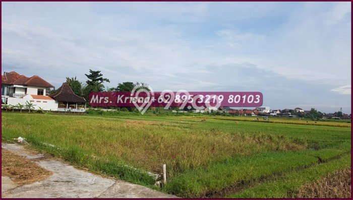 Tanah Jogja, Free Ppjb, Bisa Kpt, 5menit Ugm, Sleman Tanah Jogja, Free Ppjb, Bisa Kpt, 5menit Ugm, Sleman