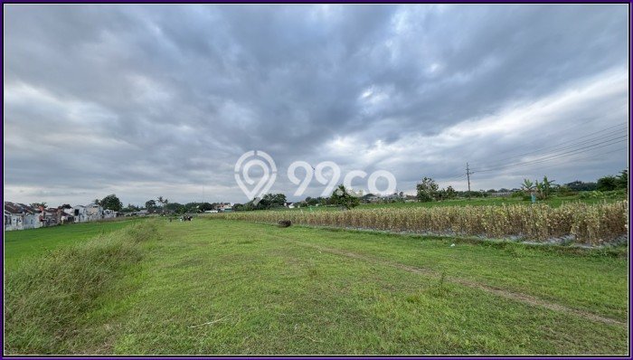 Tanah Dijual di Yogyakarta Seluas 110m2 Strategis Tanah Dijual di Yogyakarta Seluas 110m2 Strategis