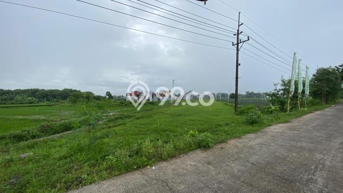 Tanah Kavling Dijual di Sleman, Yogyakarta dengan Luas Tanah 110m2 Tanah Kavling Dijual di Sleman, Yogyakarta dengan Luas Tanah 110m2