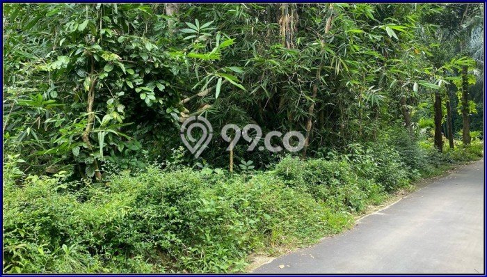 Lahan Investasi Lokasi Sleman Yogyakarta SHM Lahan Investasi Lokasi Sleman Yogyakarta SHM