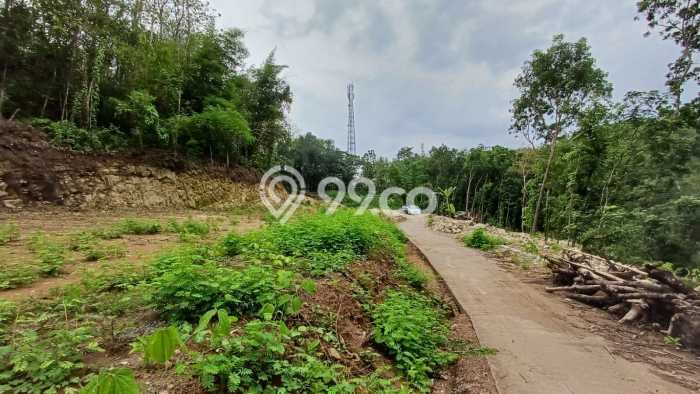 Untuk Dijual Tanah 124m2 di Sleman, Yogyakarta Untuk Dijual Tanah 124m2 di Sleman, Yogyakarta