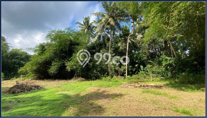 Tanah Kavling Dijual di Yogyakarta dengan Spesifikasi 94m2 Tanah Kavling Dijual di Yogyakarta dengan Spesifikasi 94m2