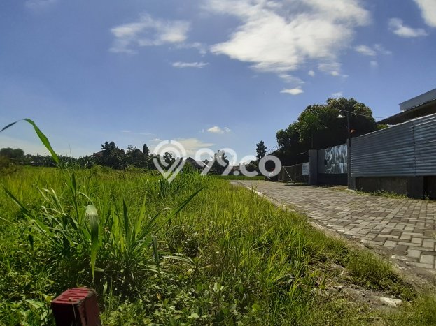 Lahan Investasi Lokasi Ngaglik Sleman SHM Lahan Investasi Lokasi Ngaglik Sleman SHM