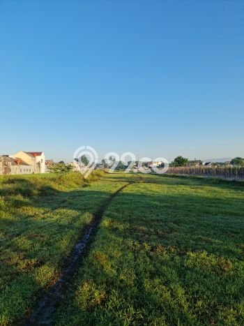 Kavling Tanah di Godean Dijual Luas 110m2 Legalitas SHM Kavling Tanah di Godean Dijual Luas 110m2 Legalitas SHM