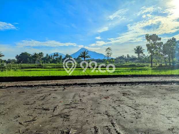 Dijual Tanah 146m2 di Sleman, Yogyakarta Dijual Tanah 146m2 di Sleman, Yogyakarta