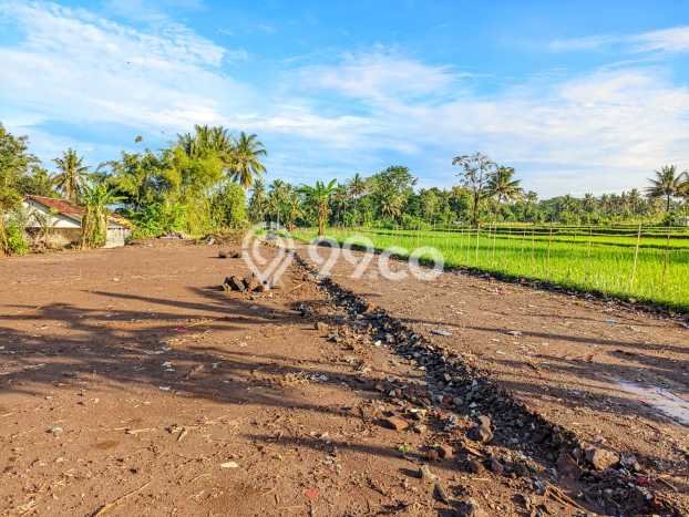 Dijual Tanah 146m2 di Sleman, Yogyakarta Dijual Tanah 146m2 di Sleman, Yogyakarta