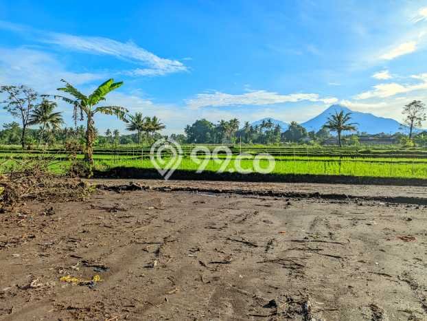 Dijual Tanah 146m2 di Sleman, Yogyakarta Dijual Tanah 146m2 di Sleman, Yogyakarta