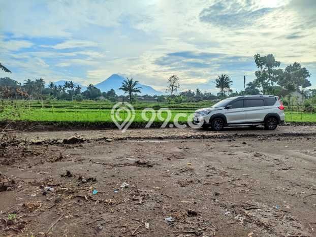 Jarang Ada! Tanah di Depok Punya Luas 146m2 SHM Jarang Ada! Tanah di Depok Punya Luas 146m2 SHM