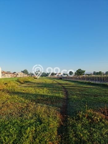 Kavling Tanah di Godean Dijual Luas 110m2 Legalitas SHM Kavling Tanah di Godean Dijual Luas 110m2 Legalitas SHM