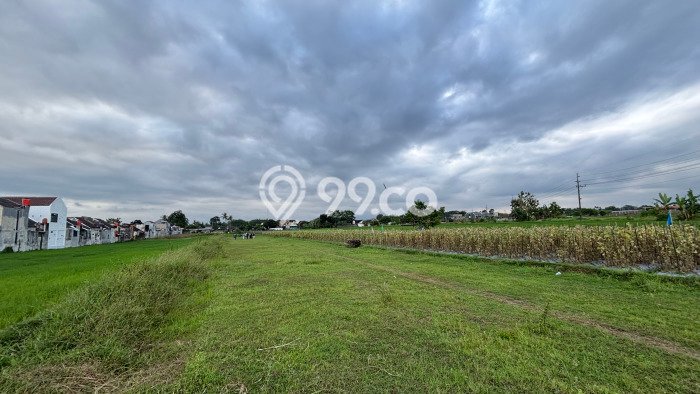 Lahan Kosong Dijual di Sleman dengan Area 110m2 Lahan Kosong Dijual di Sleman dengan Area 110m2