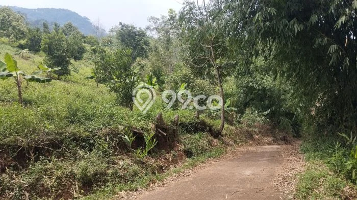 Kavling Tanah Dijual di Cikalongkulon Cianjur Spesifikasi 30000m2 Kavling Tanah Dijual di Cikalongkulon Cianjur Spesifikasi 30000m2