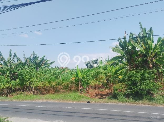 Lahan Kosong Dijual di Semarang dengan Area 128m2 Lahan Kosong Dijual di Semarang dengan Area 128m2