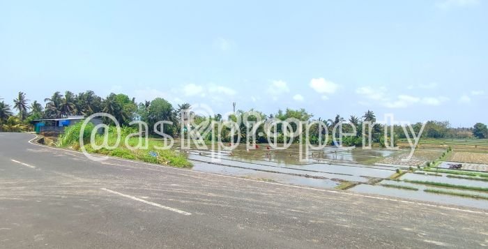 Tanah Premium Kawasan Pangkutibah, Luas 3075m², Akses Pangkutibah, Tabanan, Tabanan Tanah Premium Kawasan Pangkutibah, Luas 3075m², Akses Pangkutibah, Tabanan, Tabanan
