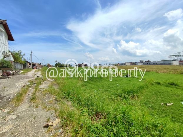 POTENSIAL! Tanah di Cemagi, Luas 229m², Lokasi Strategis POTENSIAL! Tanah di Cemagi, Luas 229m², Lokasi Strategis