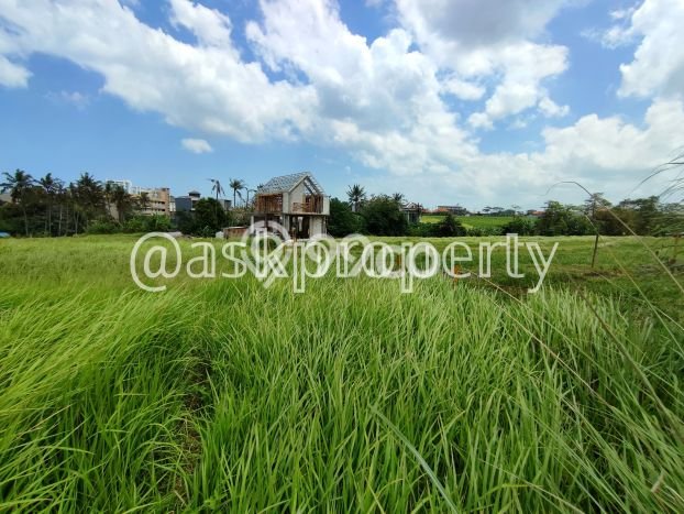 Tanah di Cemagi, Luas 590m², Akses Fasilitas, Cocok untuk Perumahan Tanah di Cemagi, Luas 590m², Akses Fasilitas, Cocok untuk Perumahan
