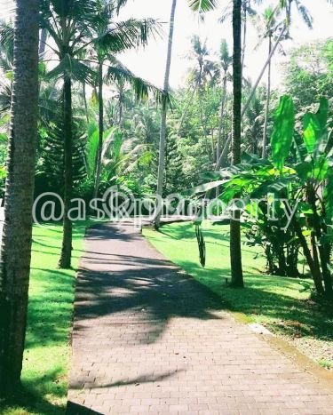 Rumah Elit Modern Siap Huni di Soka Tabanan Rumah Elit Modern Siap Huni di Soka Tabanan