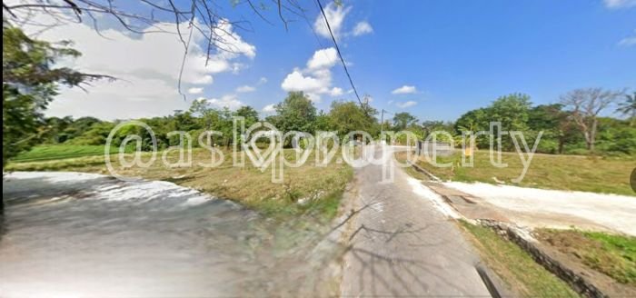 HARGA MENARIK! Tanah Kawasan Pererenan, Luas 550m², Lokasi Berkembang, Bebas Longsor HARGA MENARIK! Tanah Kawasan Pererenan, Luas 550m², Lokasi Berkembang, Bebas Longsor