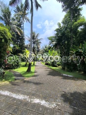 Rumah Elit Modern Siap Huni di Soka Tabanan Rumah Elit Modern Siap Huni di Soka Tabanan