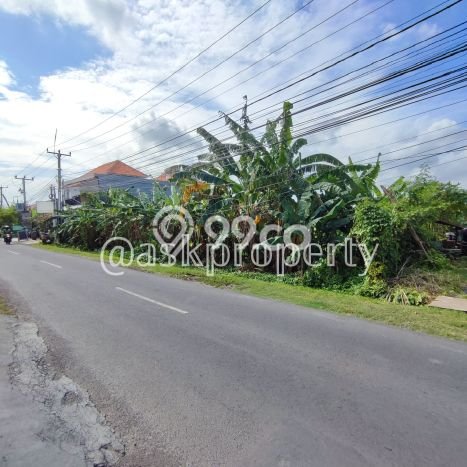 Kavling Tanah untuk Dijual di canggu, Badung, Luas 2750m2 Kavling Tanah untuk Dijual di canggu, Badung, Luas 2750m2