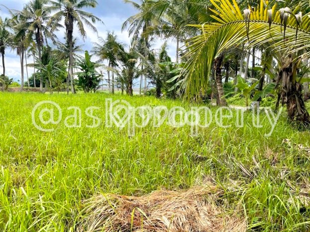 Tanah Investasi Dijual di Gianyar Punya Luas 1735m2 Tanah Investasi Dijual di Gianyar Punya Luas 1735m2