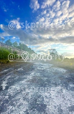Tanah Kavling Dijual di Jimbaran, Badung dengan Luas Tanah 810m2 Tanah Kavling Dijual di Jimbaran, Badung dengan Luas Tanah 810m2