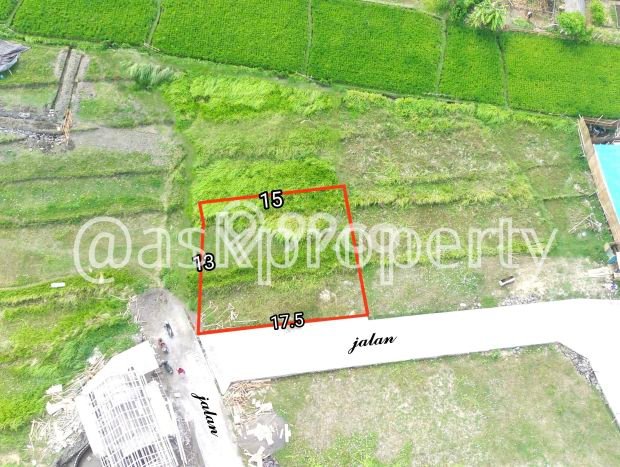 Tanah di Cemagi, Luas 590m², Akses Fasilitas, Cocok untuk Perumahan Tanah di Cemagi, Luas 590m², Akses Fasilitas, Cocok untuk Perumahan