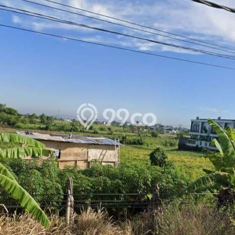 Tanah Kosong Dijual di Tabanan dengan Area 2300m2 Tanah Kosong Dijual di Tabanan dengan Area 2300m2
