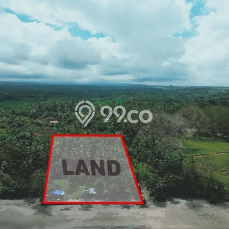 Tanah di Selemadeg, Tabanan Luas 2345m2 Dijual Segera Tanah di Selemadeg, Tabanan Luas 2345m2 Dijual Segera