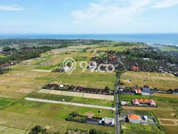 Tanah Dijual Lokasi Kediri, Tabanan Luas 1000m2 Legalitas Aman Tanah Dijual Lokasi Kediri, Tabanan Luas 1000m2 Legalitas Aman