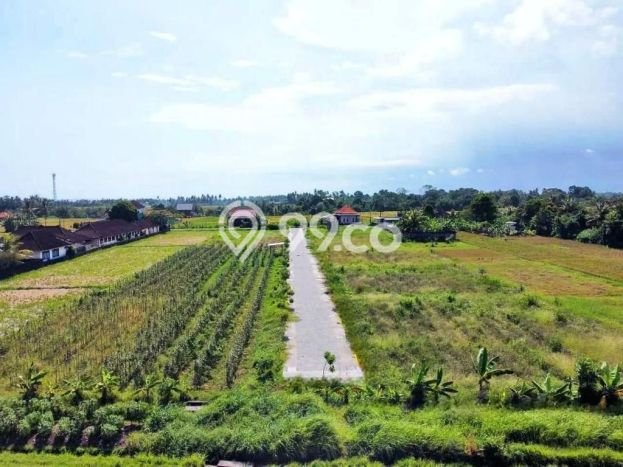 Tanah Dijual Lokasi Kediri, Tabanan Luas 1000m2 Legalitas Aman Tanah Dijual Lokasi Kediri, Tabanan Luas 1000m2 Legalitas Aman