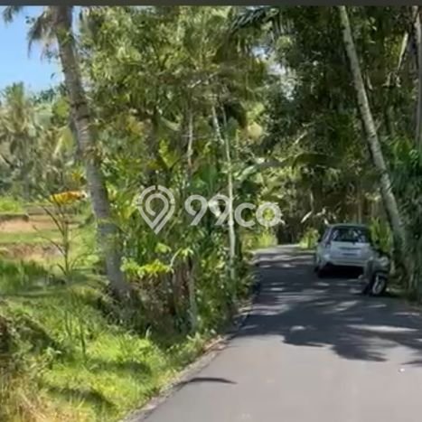 Tanah Investasi Dijual di Gianyar Punya Luas 2800m2 Tanah Investasi Dijual di Gianyar Punya Luas 2800m2