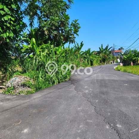 Tanah Kavling Dijual di Sanur, Denpasar dengan Luas Tanah 4400m2 Tanah Kavling Dijual di Sanur, Denpasar dengan Luas Tanah 4400m2