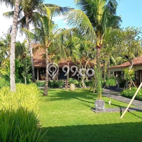 Lokasi Strategis! Vila Kawasan Kediri, Dimensi 1960m2m², Kondisi Terbaik Lokasi Strategis! Vila Kawasan Kediri, Dimensi 1960m2m², Kondisi Terbaik