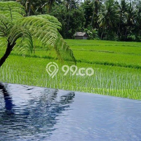 Lokasi Strategis! Vila Kawasan Kediri, Dimensi 1960m2m², Kondisi Terbaik Lokasi Strategis! Vila Kawasan Kediri, Dimensi 1960m2m², Kondisi Terbaik